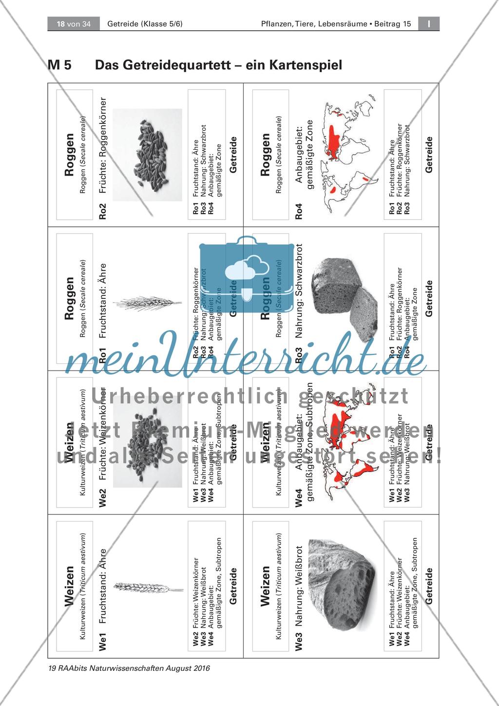 Getreide: Ursprung, Anbau, Getreidequartett Preview 3