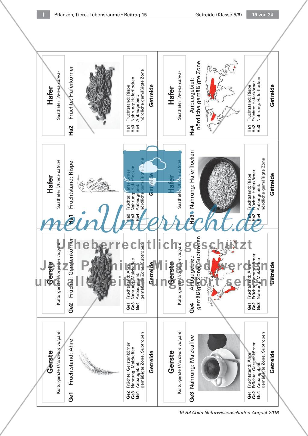 Getreide: Ursprung, Anbau, Getreidequartett Preview 4