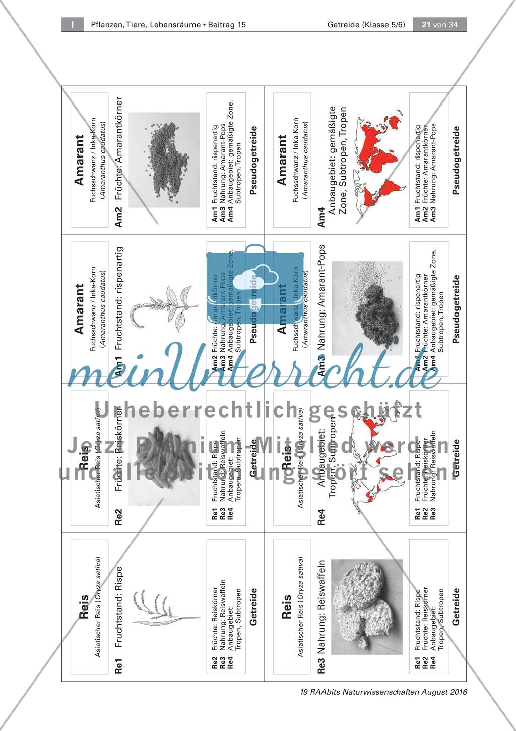 Getreide: Ursprung, Anbau, Getreidequartett Preview 6
