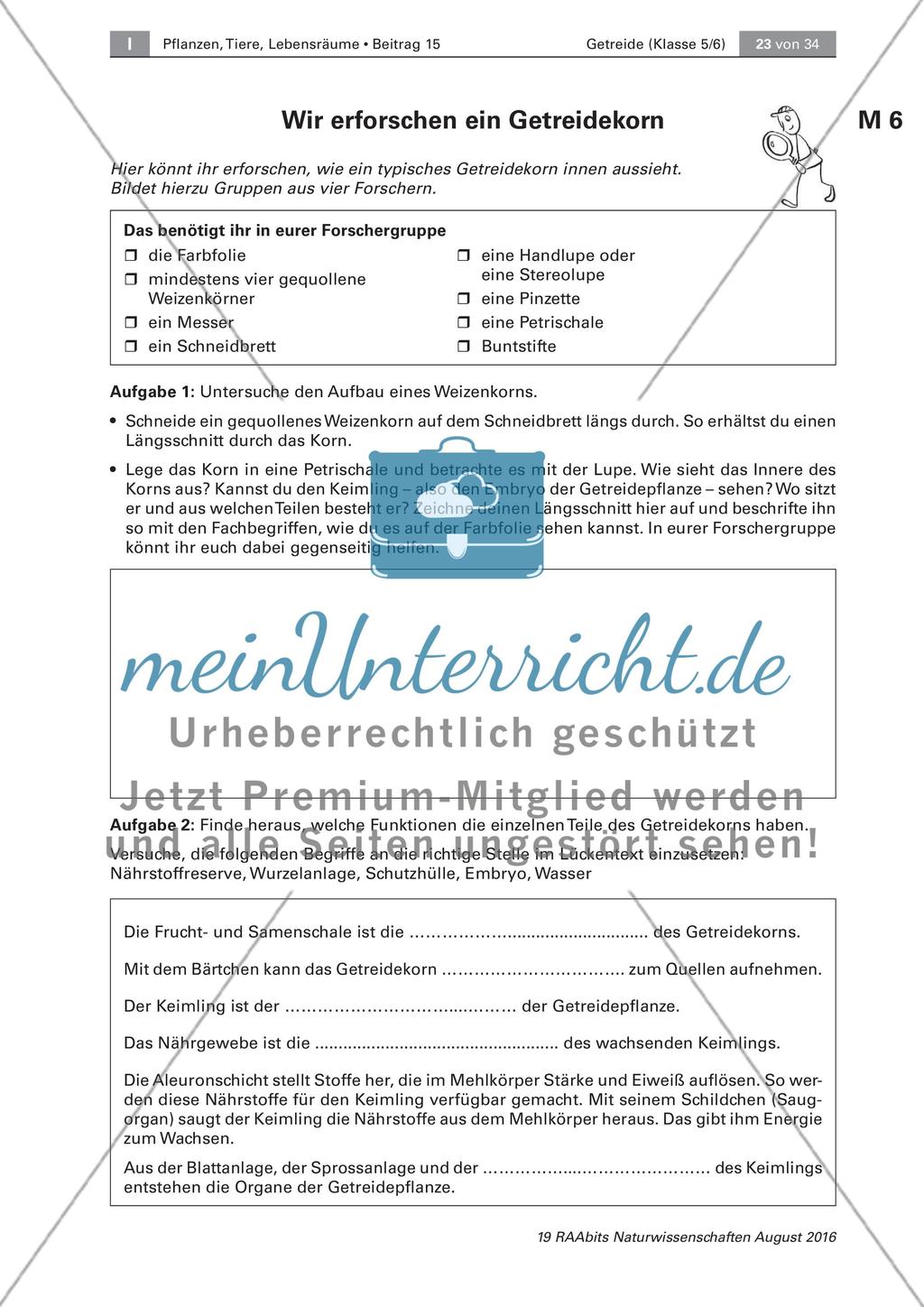Getreide: Untersuchen des Getreidekorns, Getreideprodukte Preview 1
