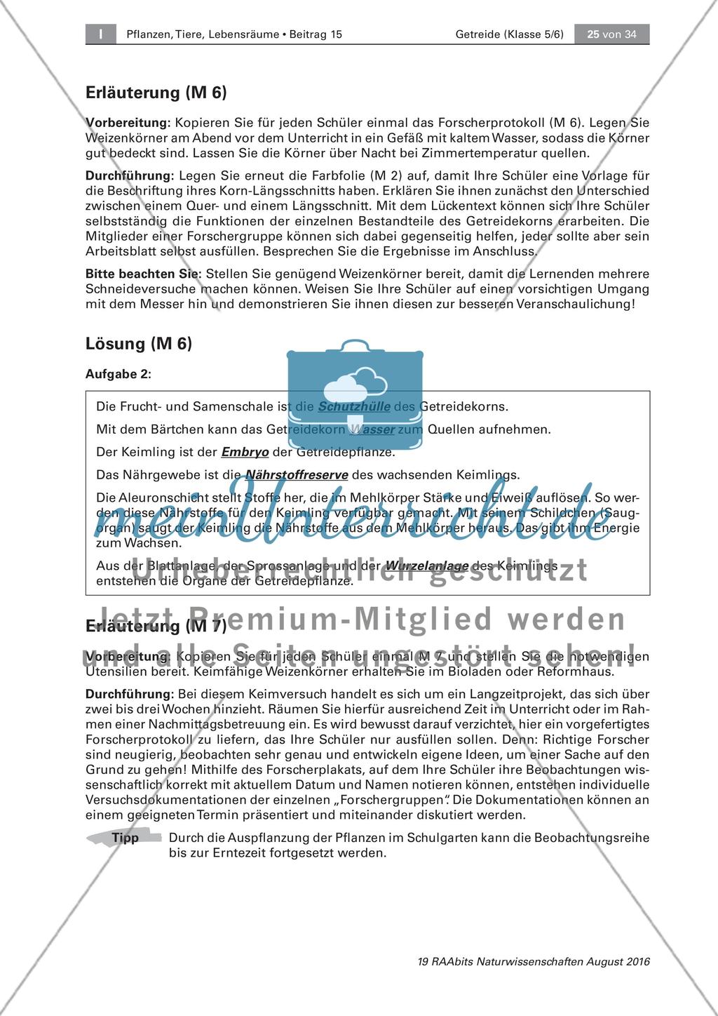 Getreide: Untersuchen des Getreidekorns, Getreideprodukte Preview 3