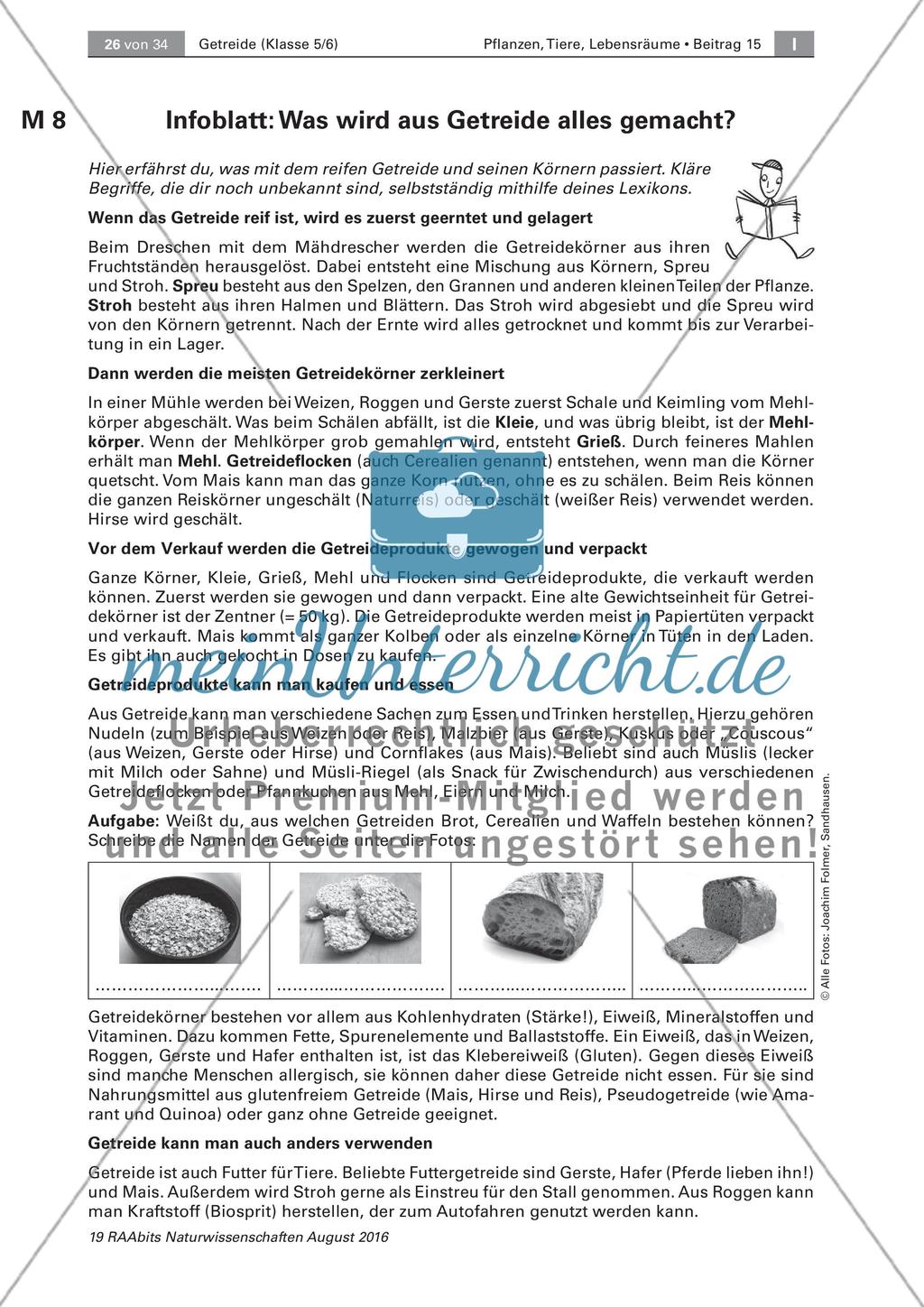 Getreide: Untersuchen des Getreidekorns, Getreideprodukte Preview 4