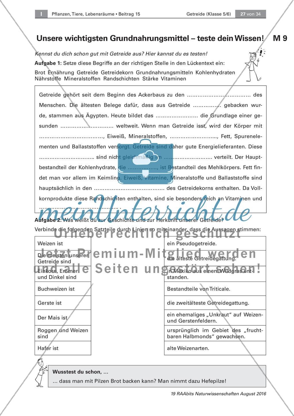 Getreide: Untersuchen des Getreidekorns, Getreideprodukte Preview 5