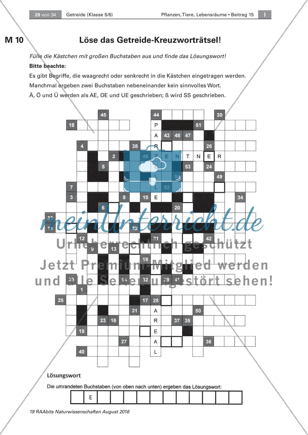 Getreide: Untersuchen des Getreidekorns, Getreideprodukte Preview 6