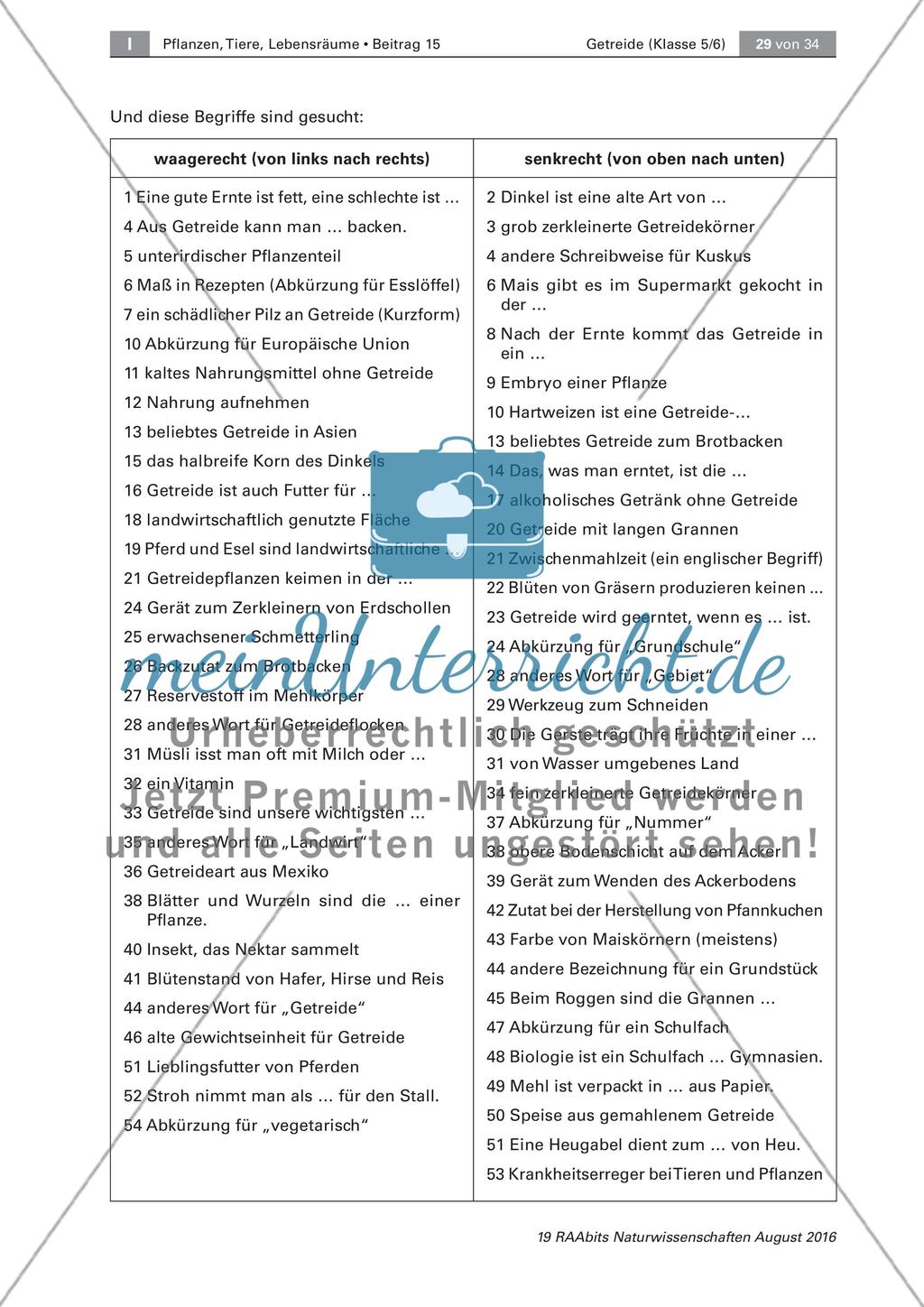 Getreide: Untersuchen des Getreidekorns, Getreideprodukte Preview 7