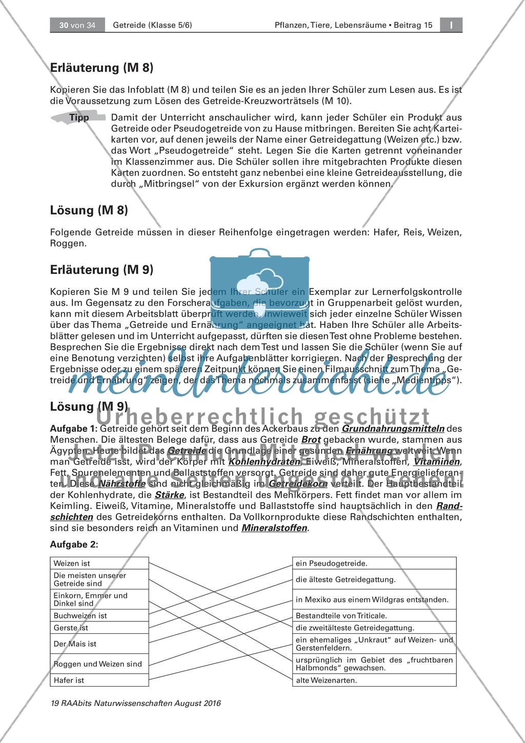 Getreide: Untersuchen des Getreidekorns, Getreideprodukte Preview 8
