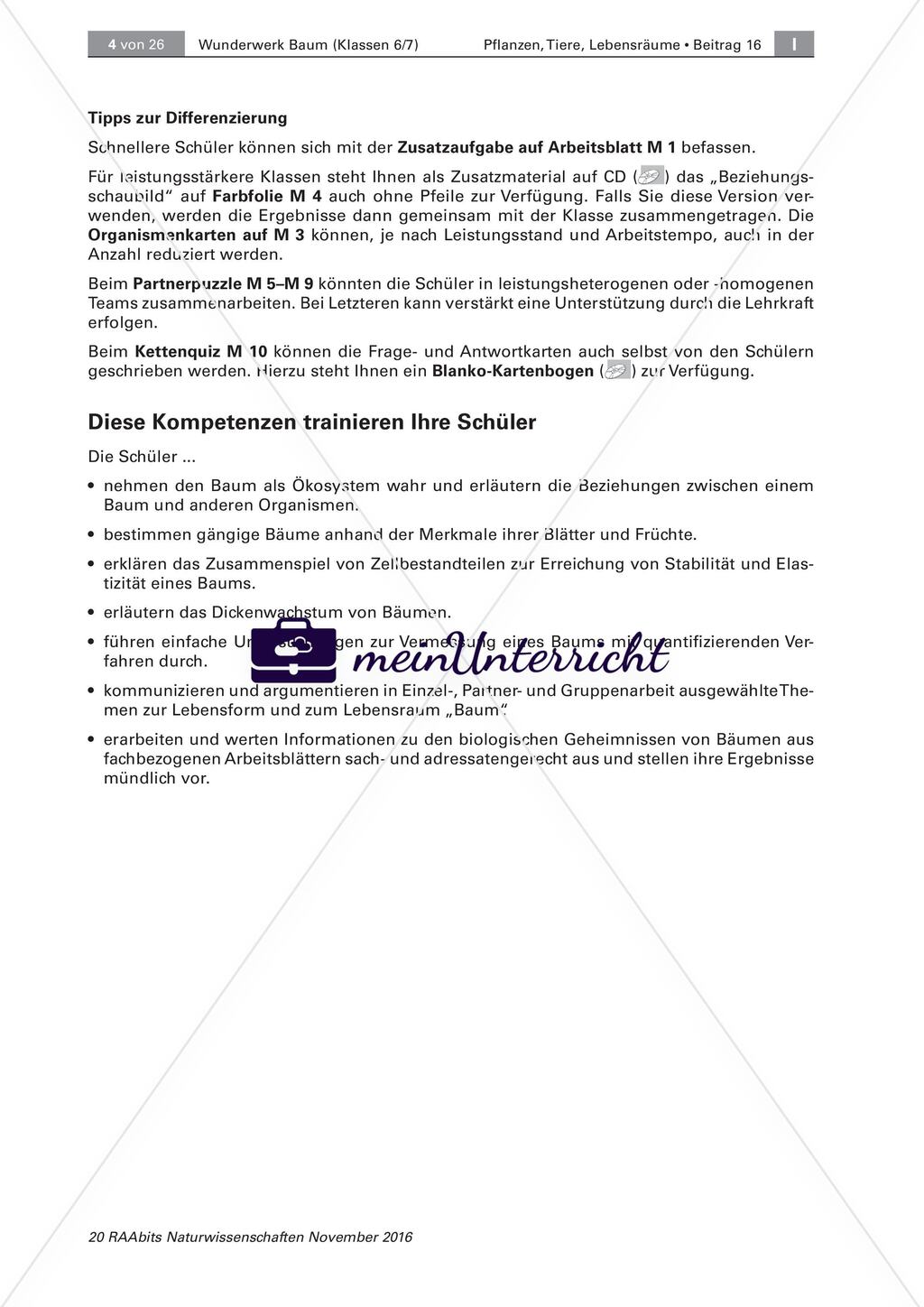 Einführung Preview 4