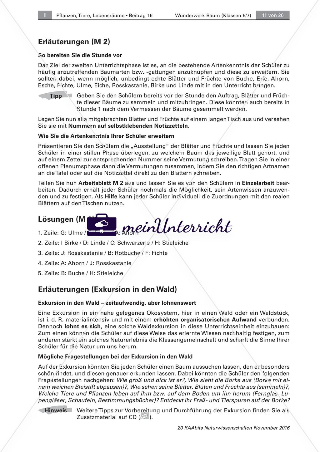 Der Baum: Messen der Höhe, Artenkenntnis, Bewohner Preview 4