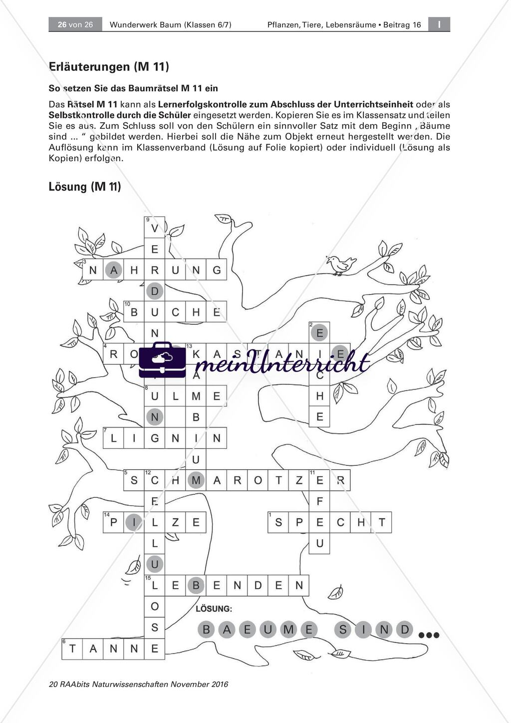 Der Baum: Höhe und Dicke, Kettenquiz, Test Preview 11