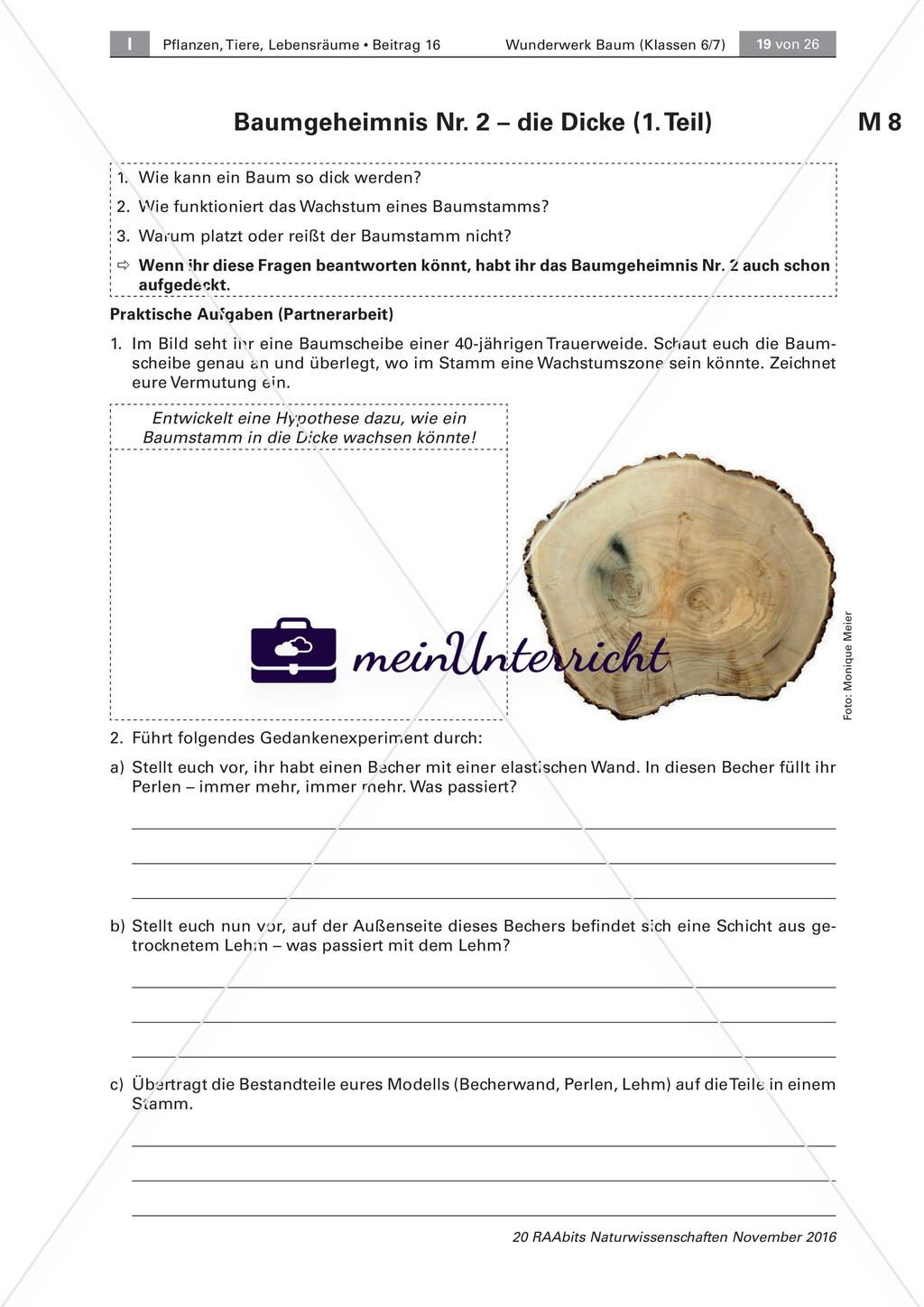 Der Baum: Höhe und Dicke, Kettenquiz, Test Preview 4