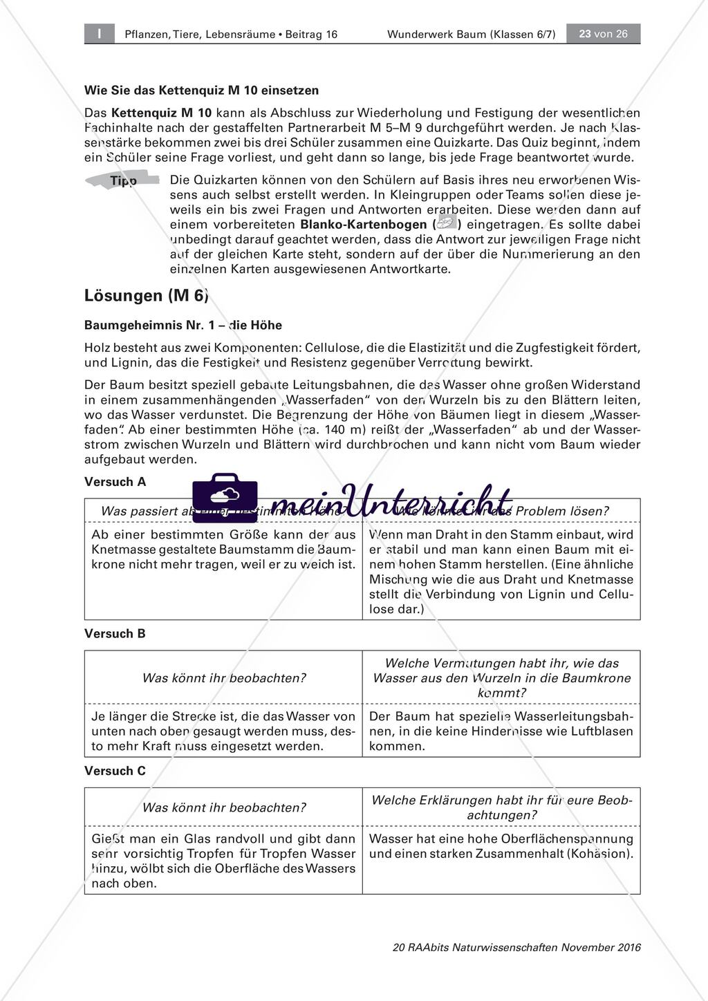 Der Baum: Höhe und Dicke, Kettenquiz, Test Preview 8