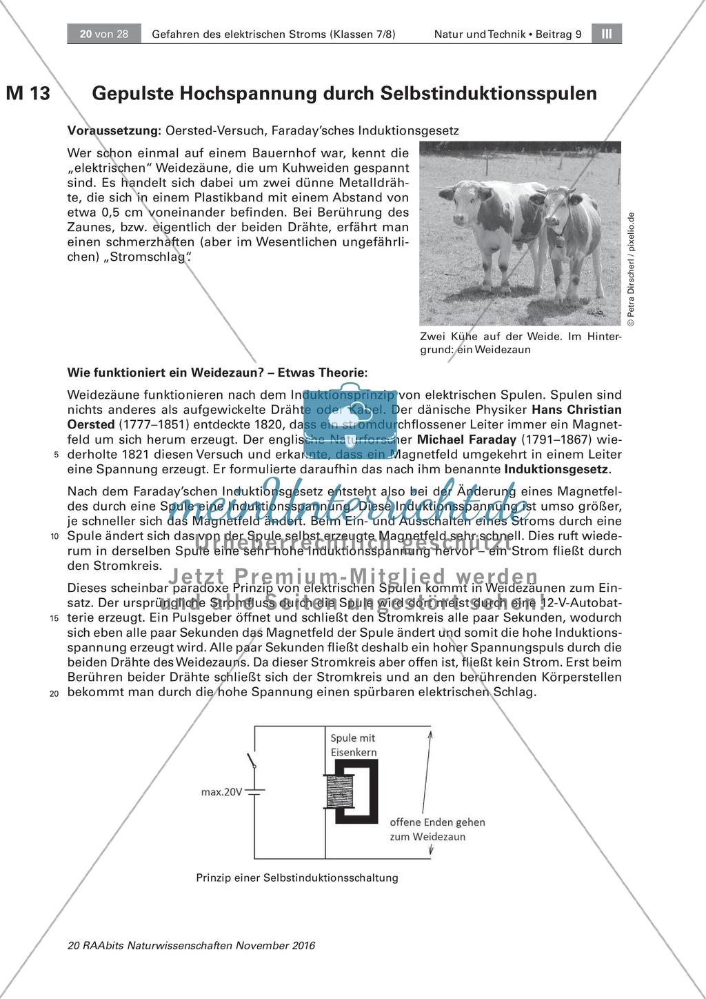 Die Gefahren des elektrischen Stroms Preview 13