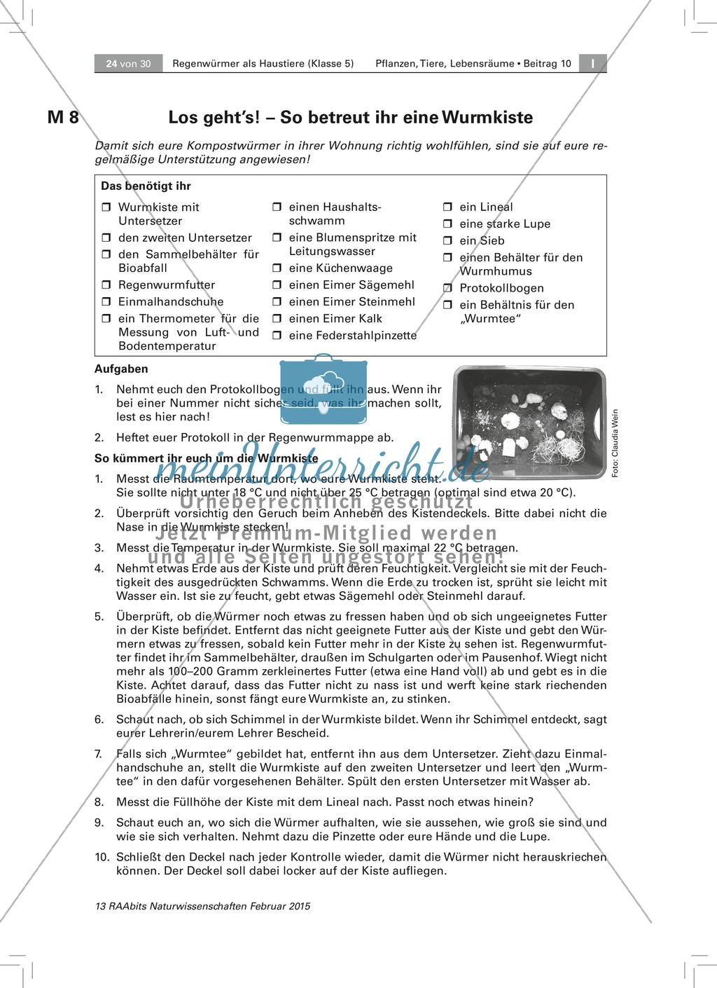 Der Regenwurm: Protokollbogen Wurmkiste, Fachbegriffe Preview 1