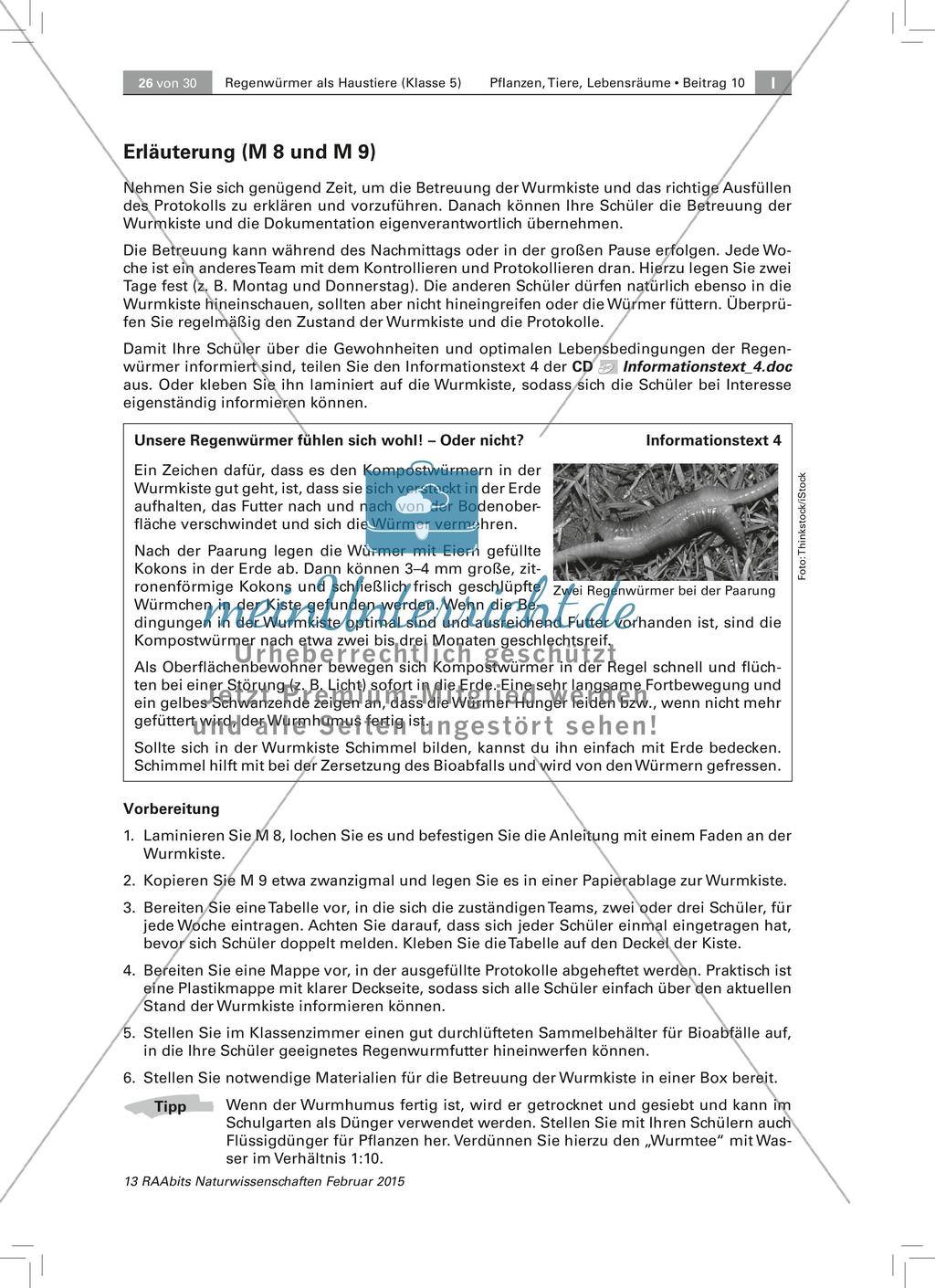 Der Regenwurm: Protokollbogen Wurmkiste, Fachbegriffe Preview 3