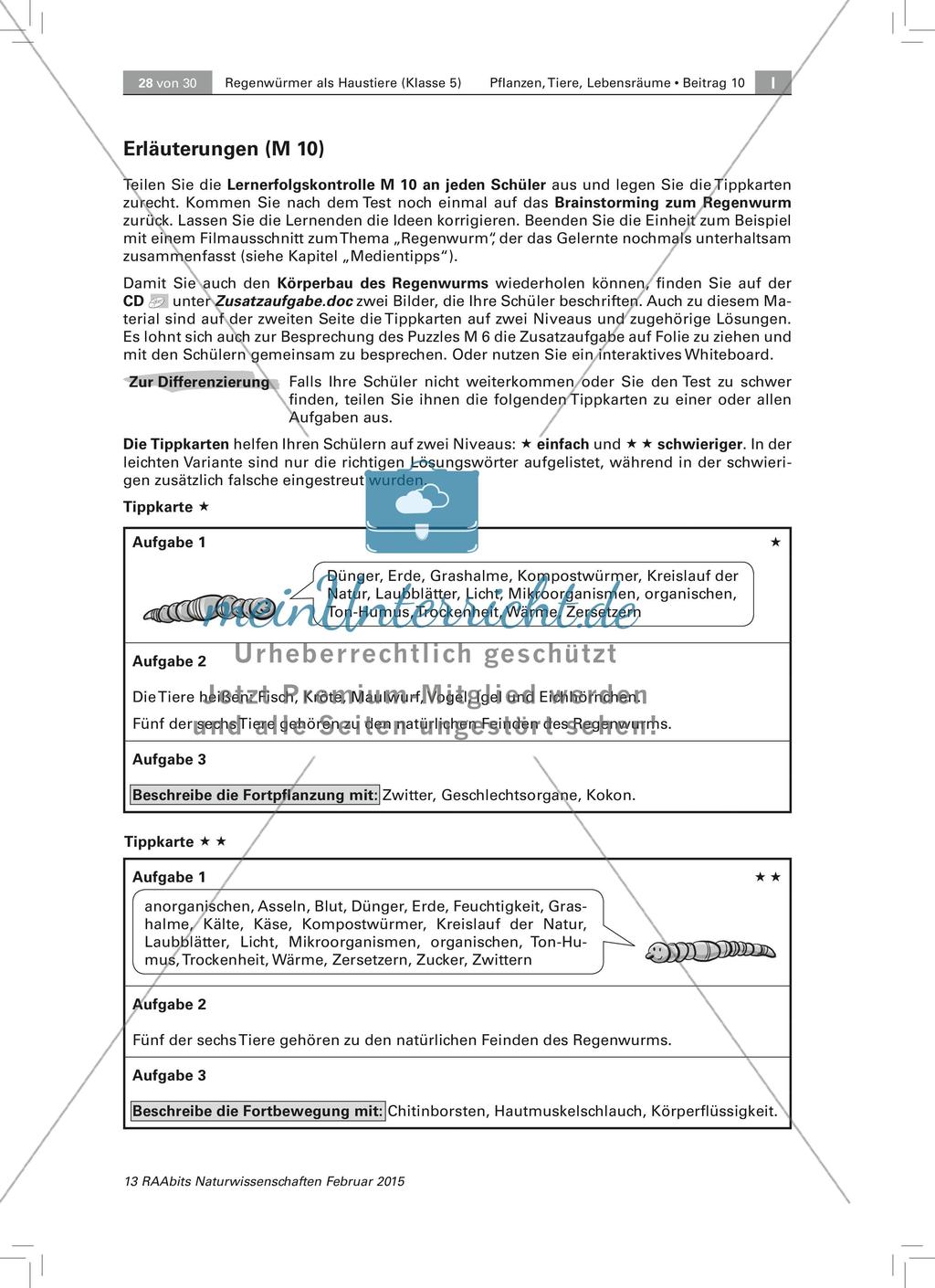 Der Regenwurm: Protokollbogen Wurmkiste, Fachbegriffe Preview 5