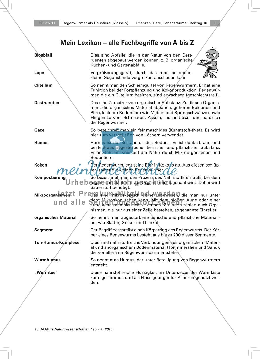 Der Regenwurm: Protokollbogen Wurmkiste, Fachbegriffe Preview 7