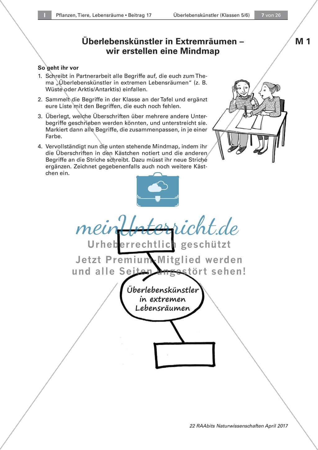 Überlebenskünstler in Extremräumen: Einstieg Preview 1