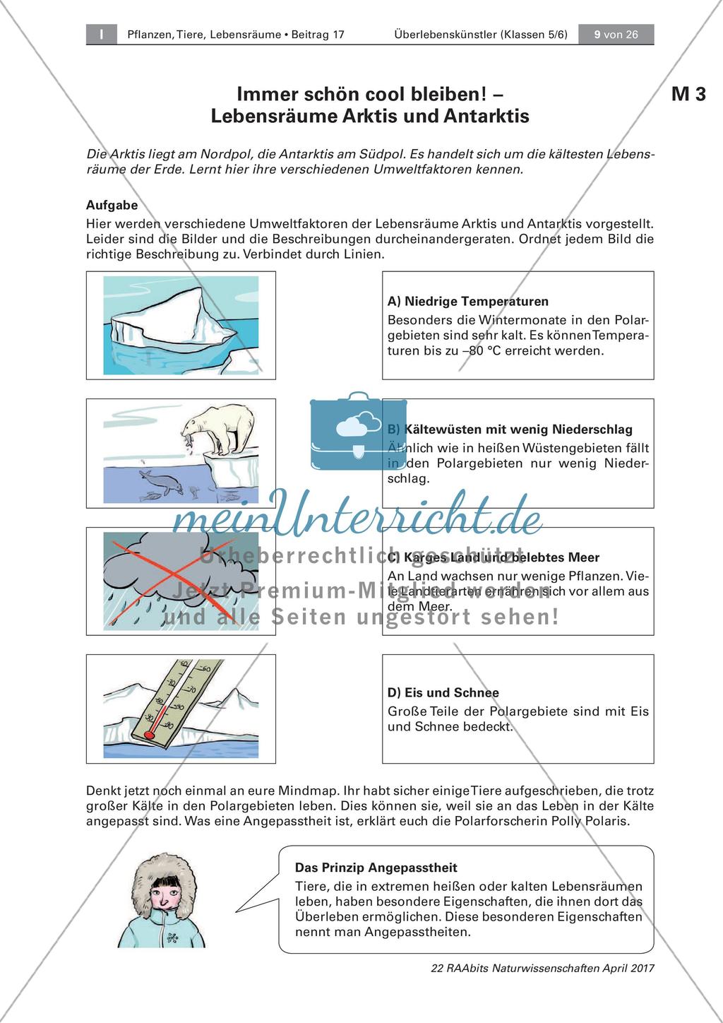 Überlebenskünstler in Extremräumen: Einstieg Preview 3