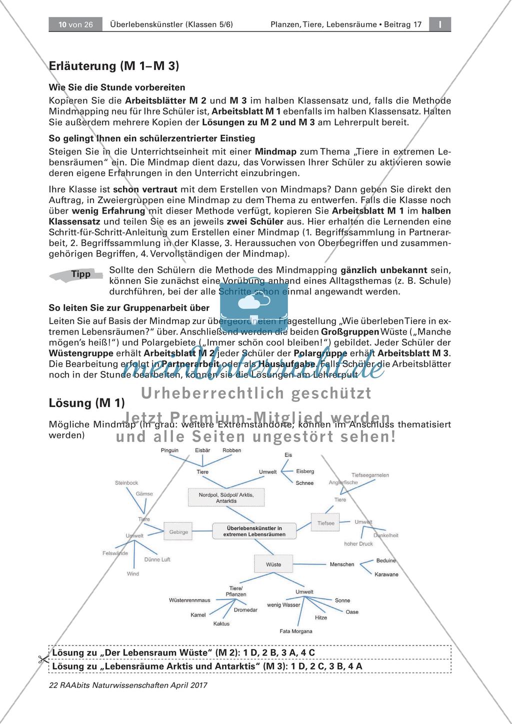 Überlebenskünstler in Extremräumen: Einstieg Preview 4