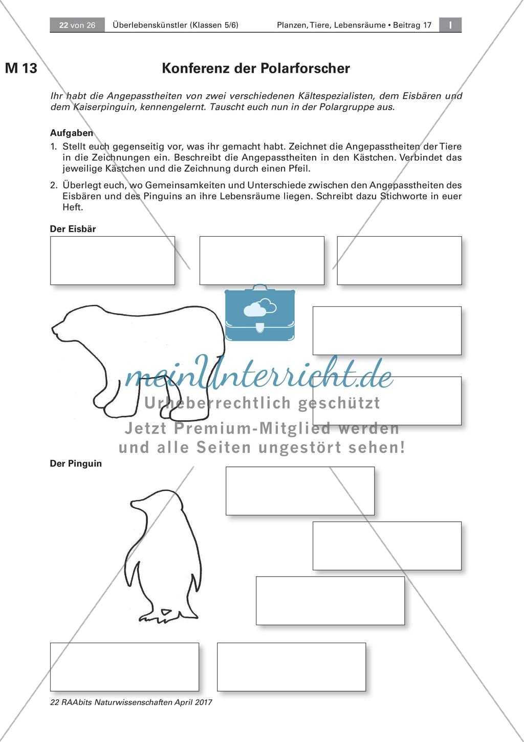 Überlebenskünstler in Extremräumen - Angepasstheiten untersuchen Preview 12