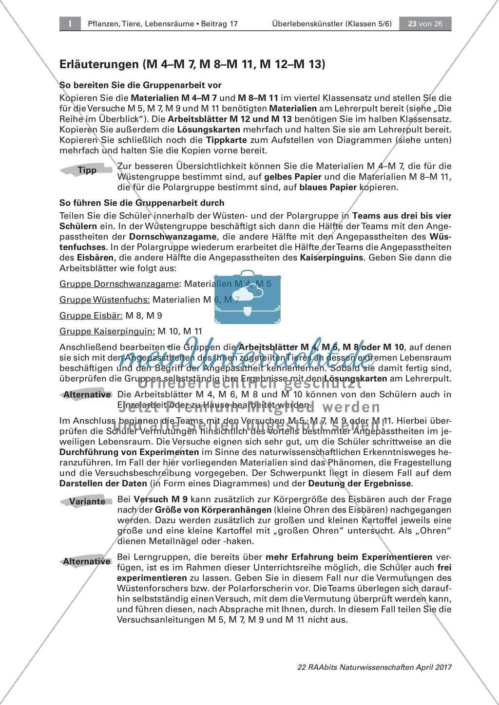 Überlebenskünstler in Extremräumen - Angepasstheiten untersuchen Preview 13