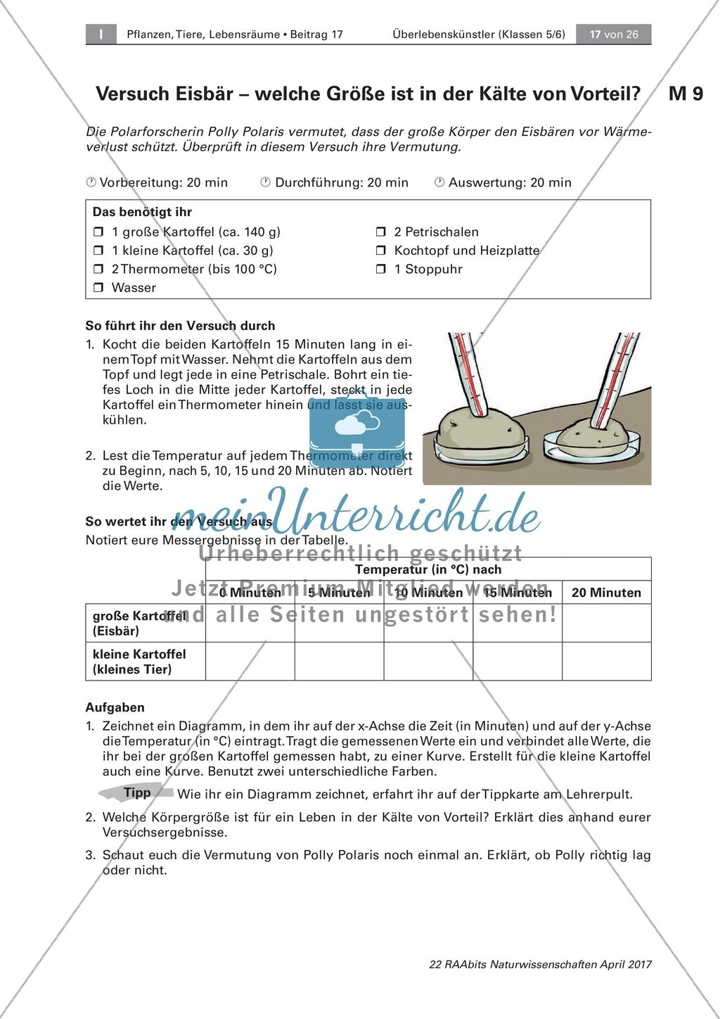 Überlebenskünstler in Extremräumen - Angepasstheiten untersuchen Preview 7