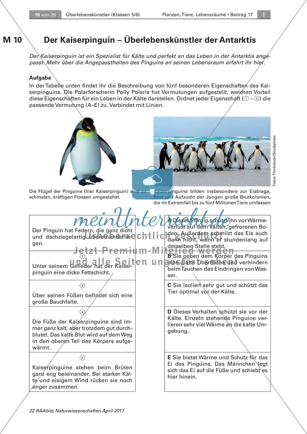 Überlebenskünstler in Extremräumen - Angepasstheiten untersuchen Preview 8