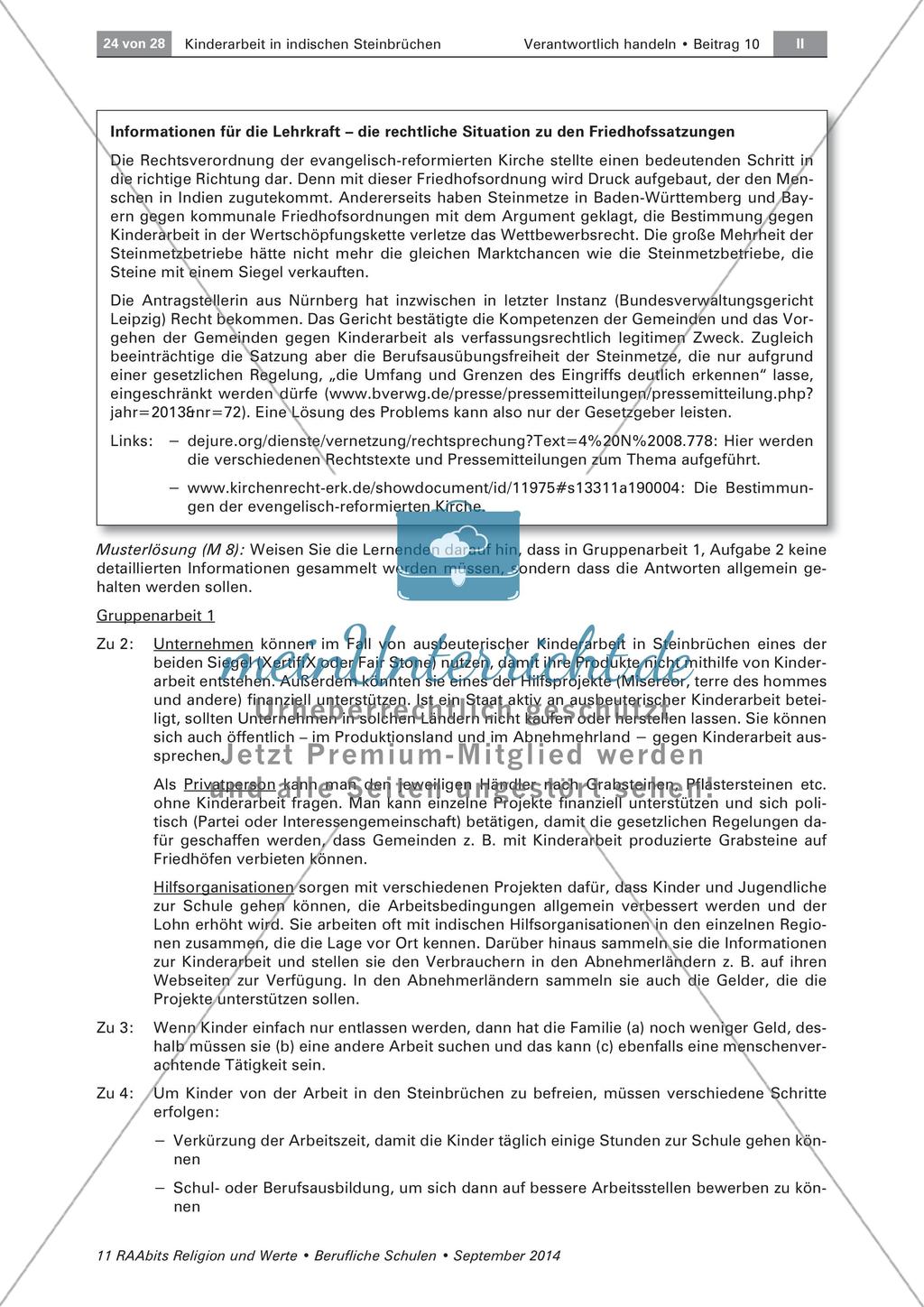 Kinderarbeit in Indien: Gegenmaßnahmen Preview 7