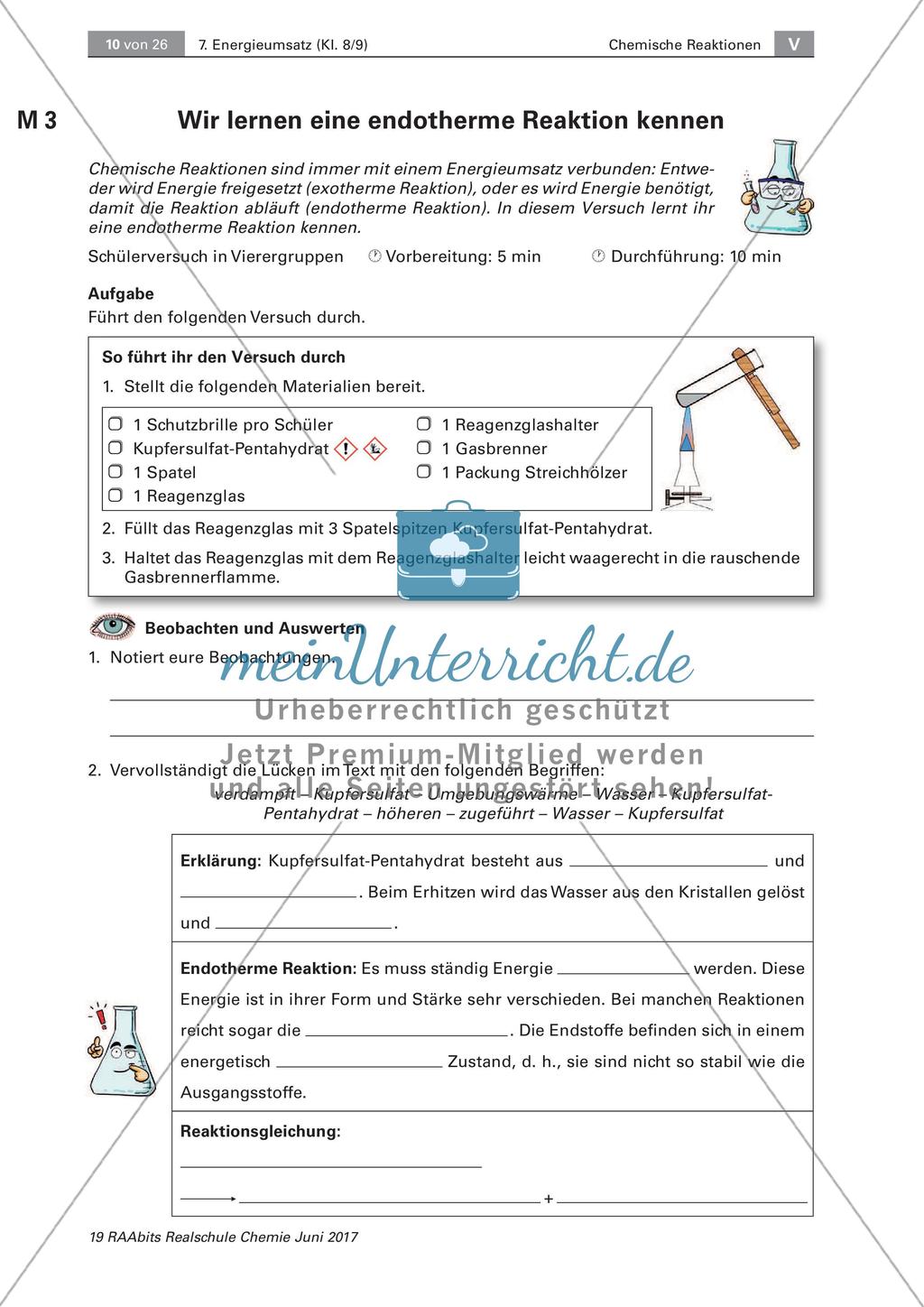 Energieumsatz bei chemischen Reaktionen: endo- und exotherme Reaktionen Preview 1