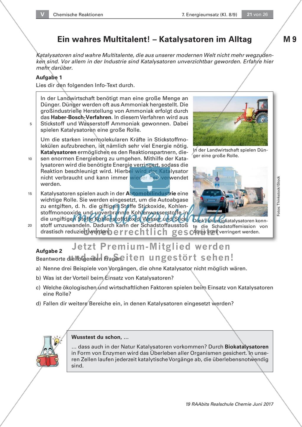 Energieumsatz bei chemischen Reaktionen: Katalysatoren Preview 4