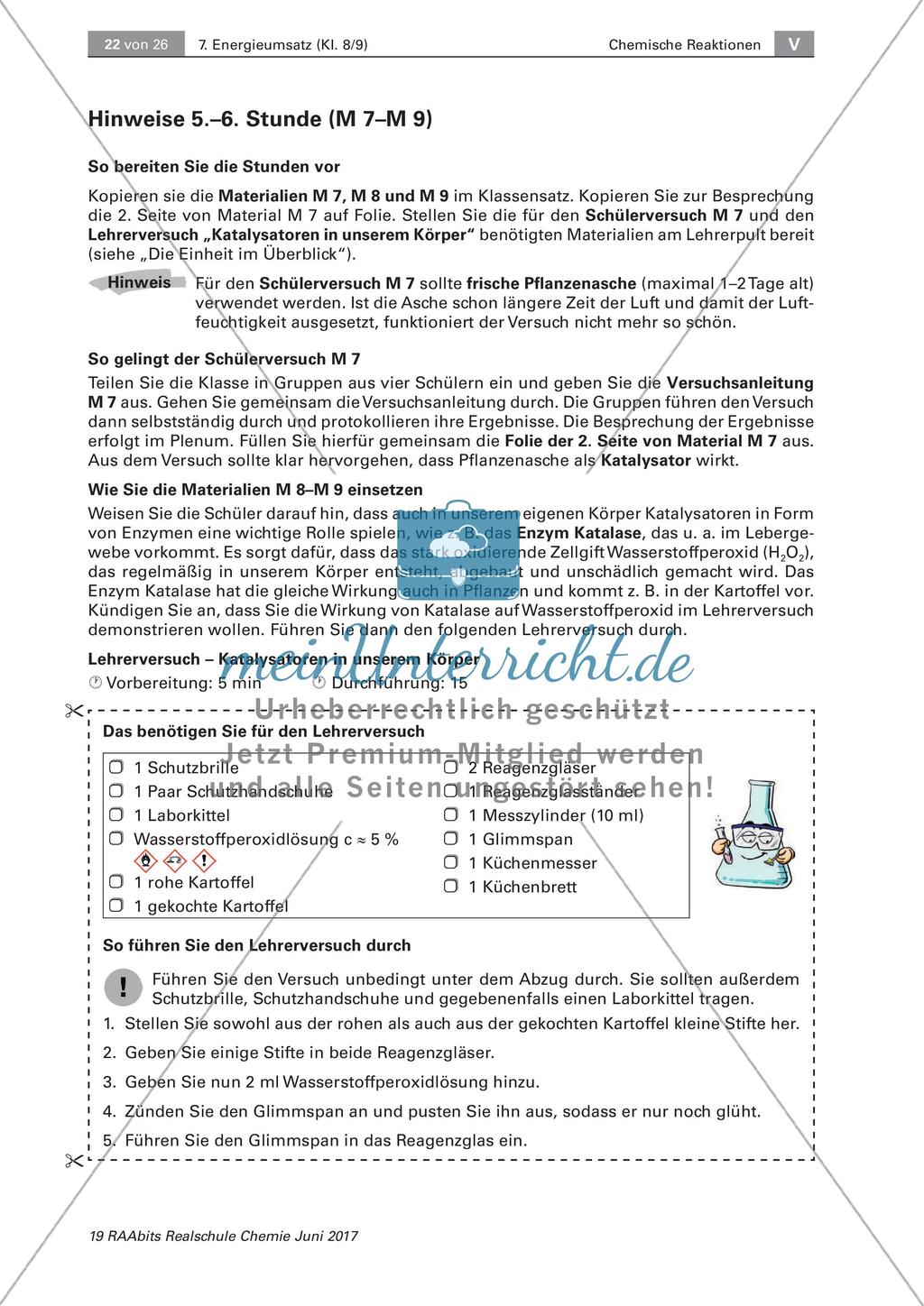 Energieumsatz bei chemischen Reaktionen: Katalysatoren Preview 5