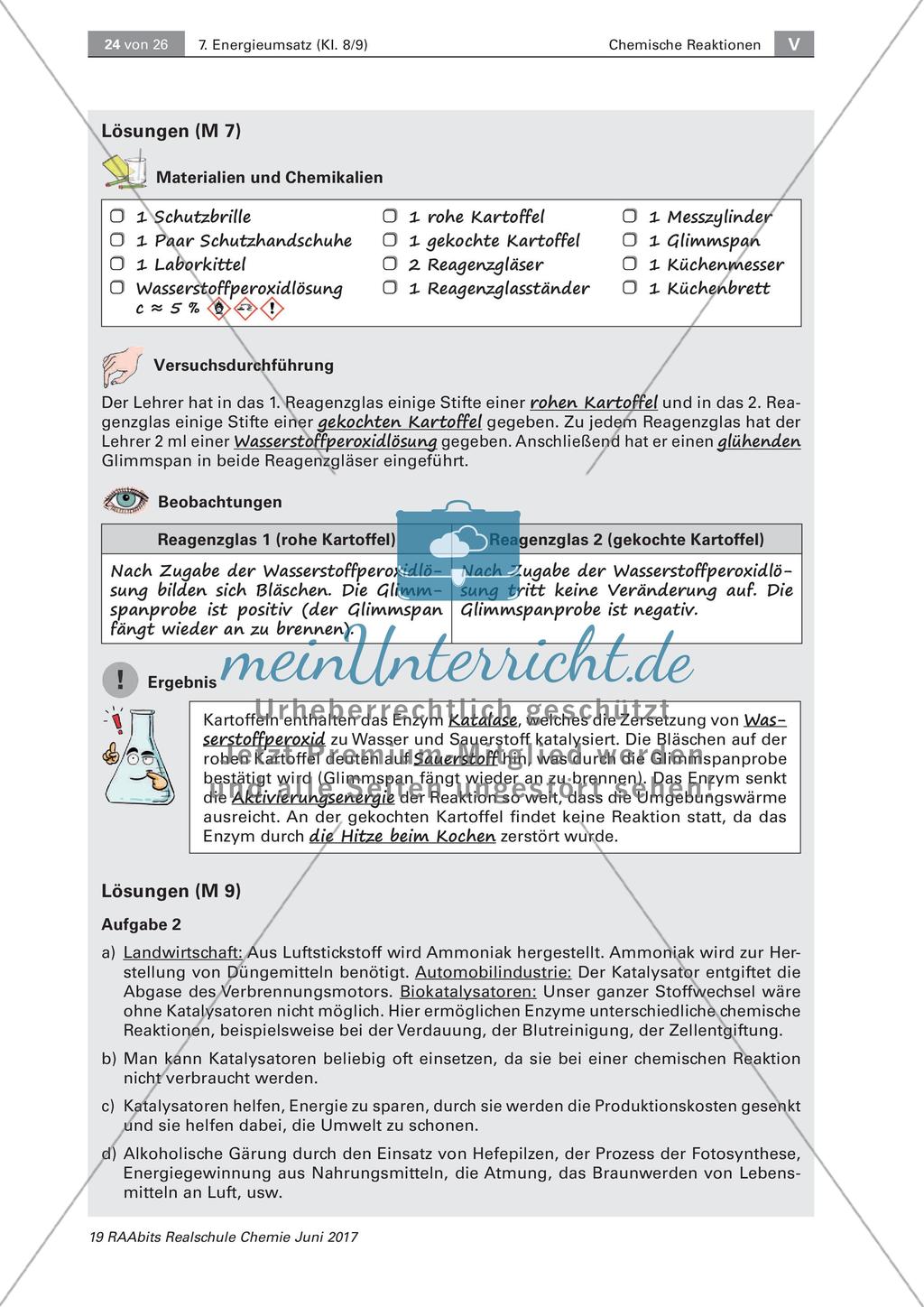 Energieumsatz bei chemischen Reaktionen: Katalysatoren Preview 7