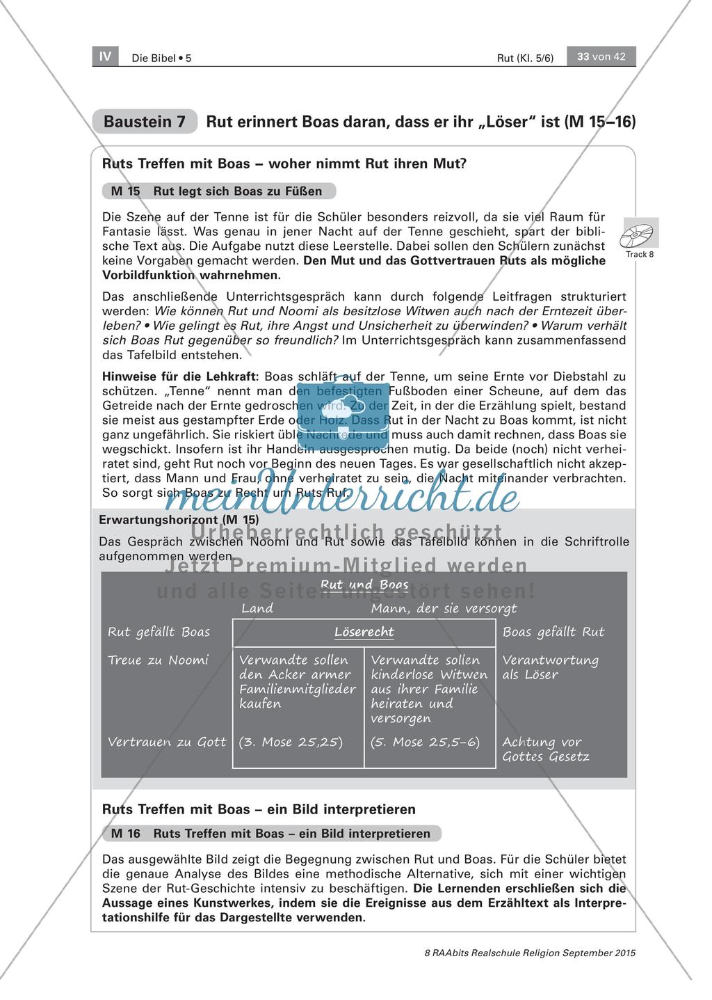 Ruts Treffen mit Boas Preview 3