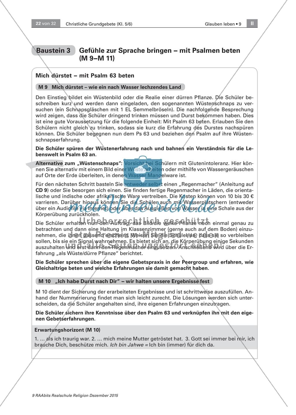 Beten: Gebetsanalyse und Psalme Preview 10