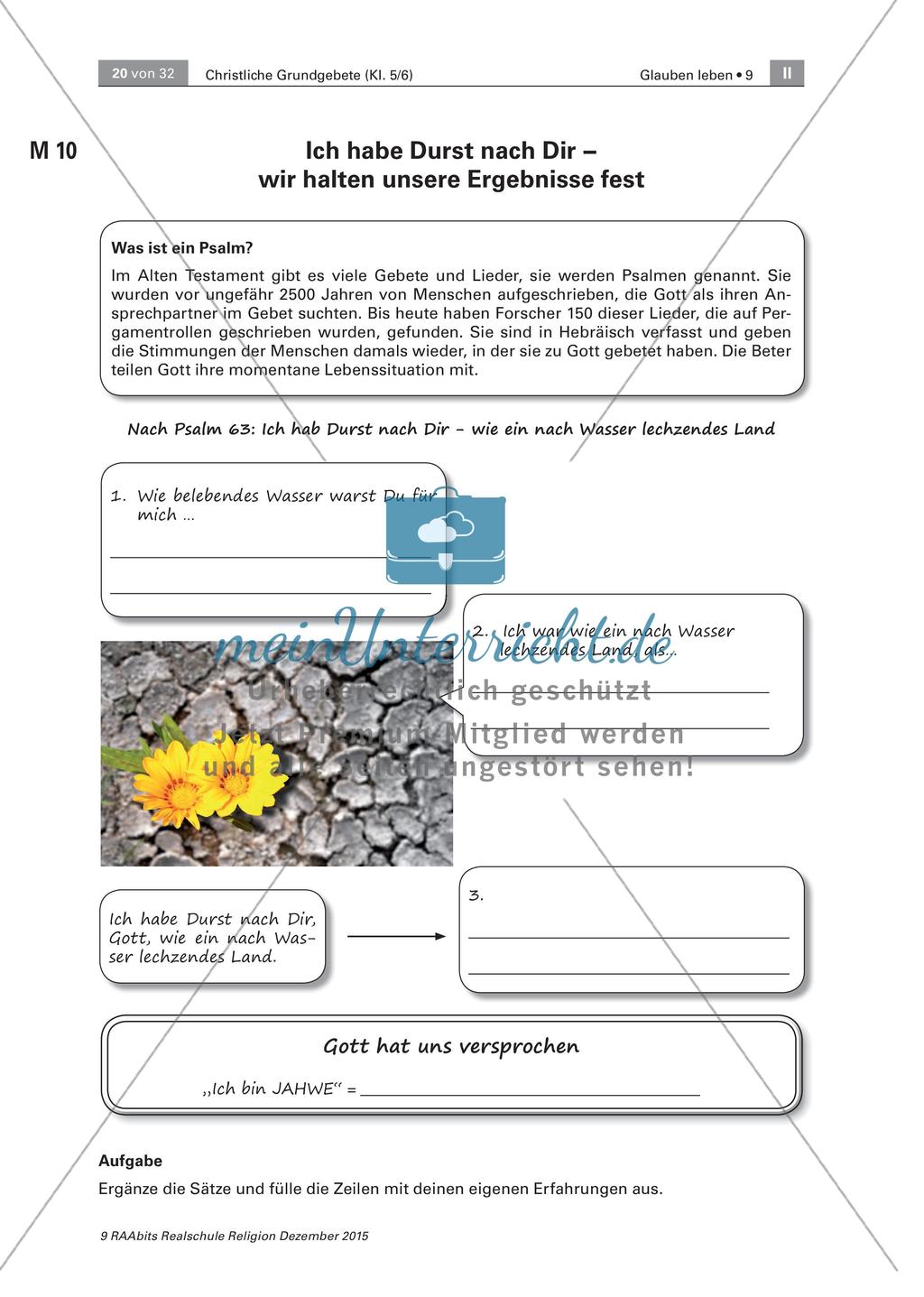 Beten: Gebetsanalyse und Psalme Preview 8