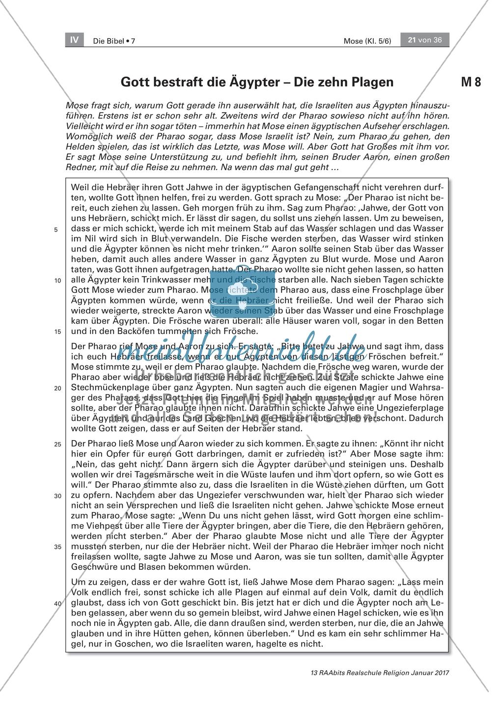 Rettung der Israeliten Preview 1