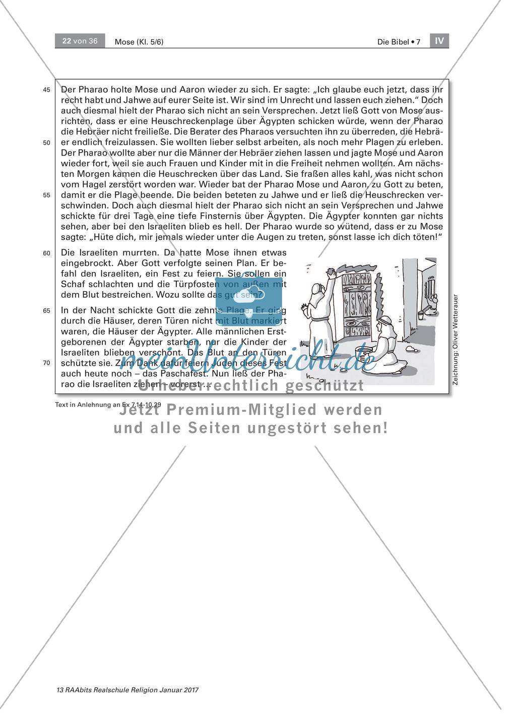 Rettung der Israeliten Preview 2