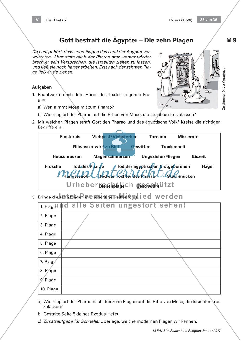 Rettung der Israeliten Preview 3