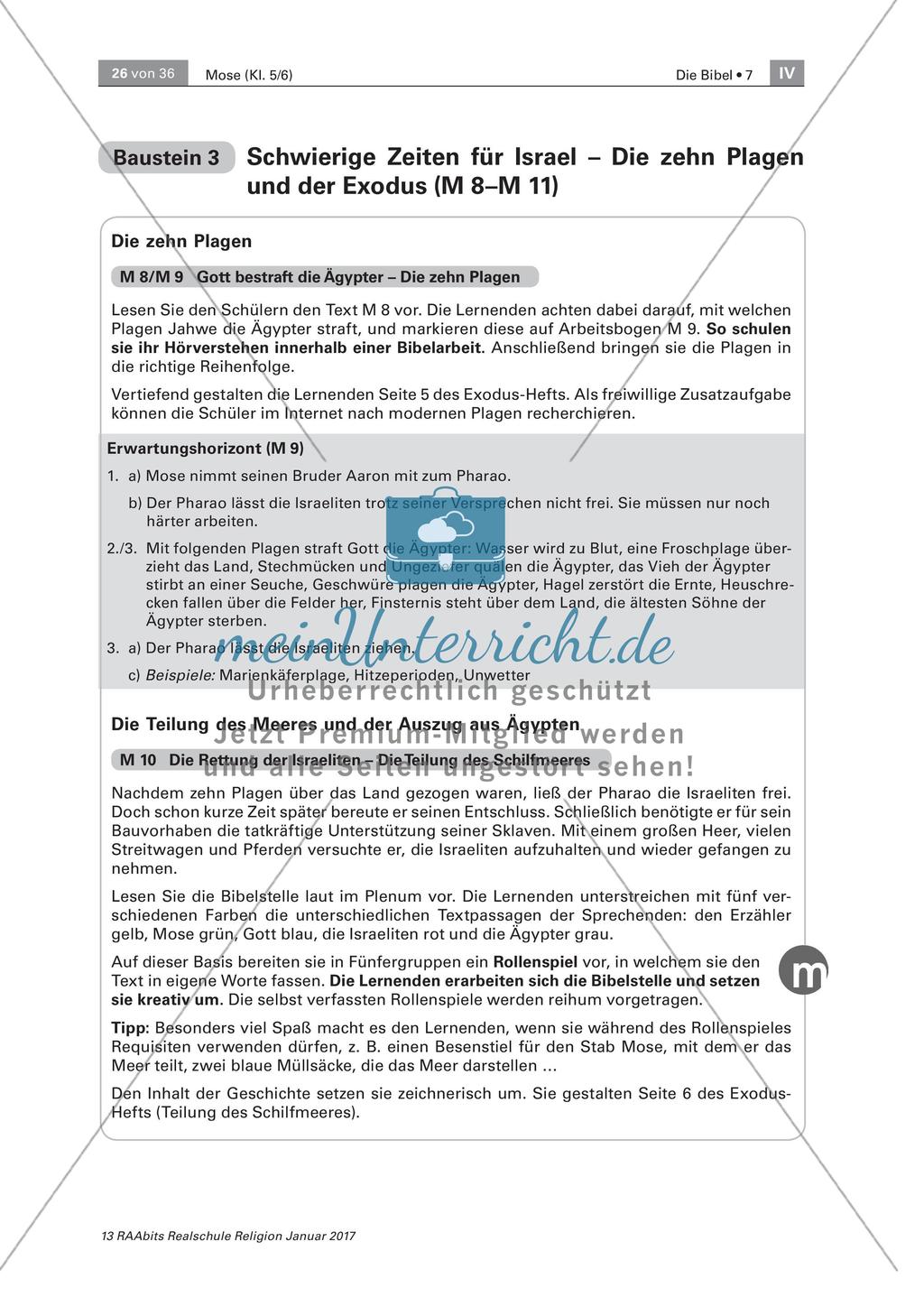 Rettung der Israeliten Preview 6
