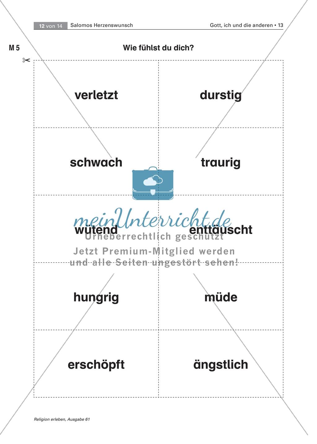 König Salomo: Wahrnehmung von Bedürfnissen Preview 12