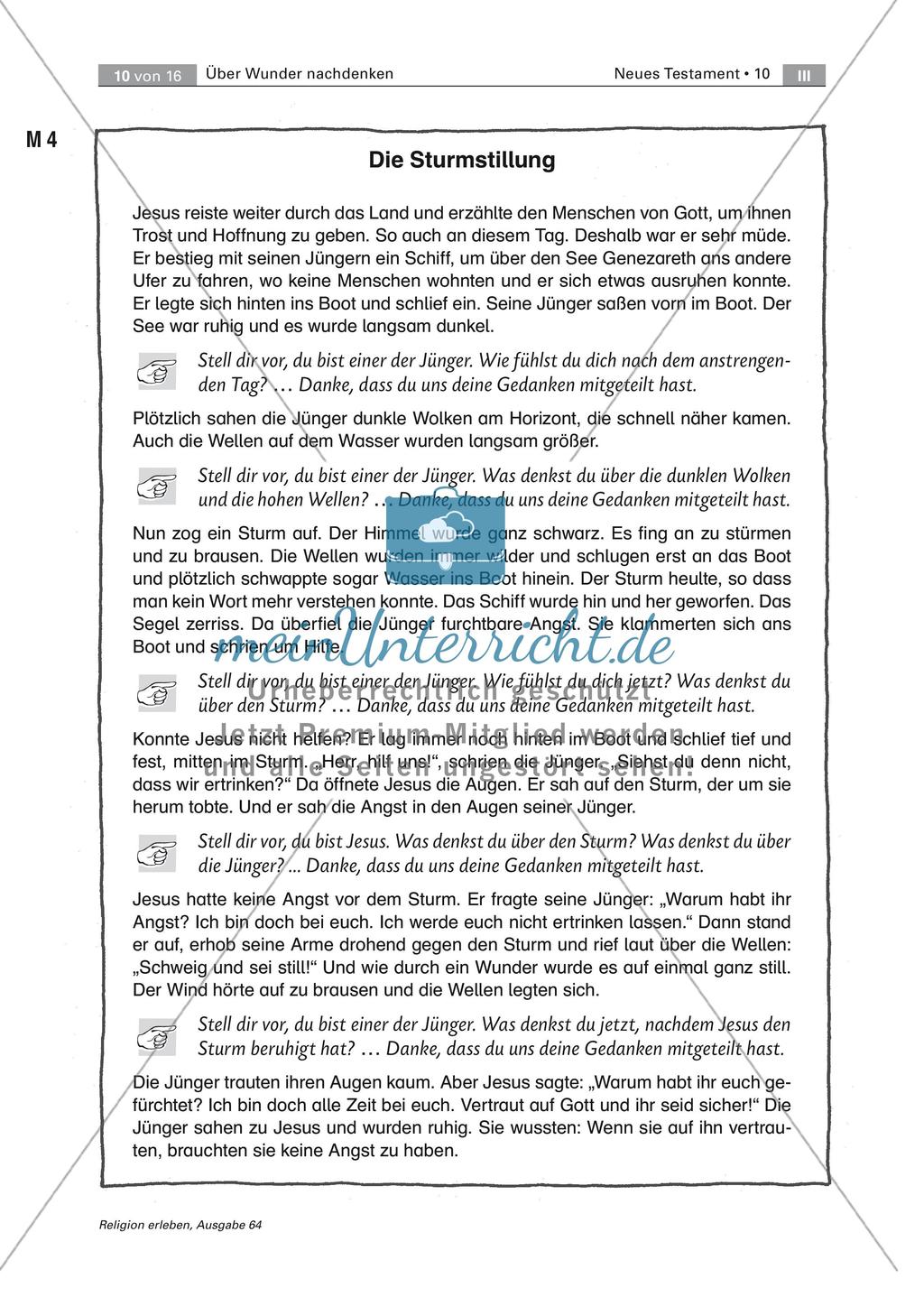 Wunder in Bibel und Alltag Preview 10