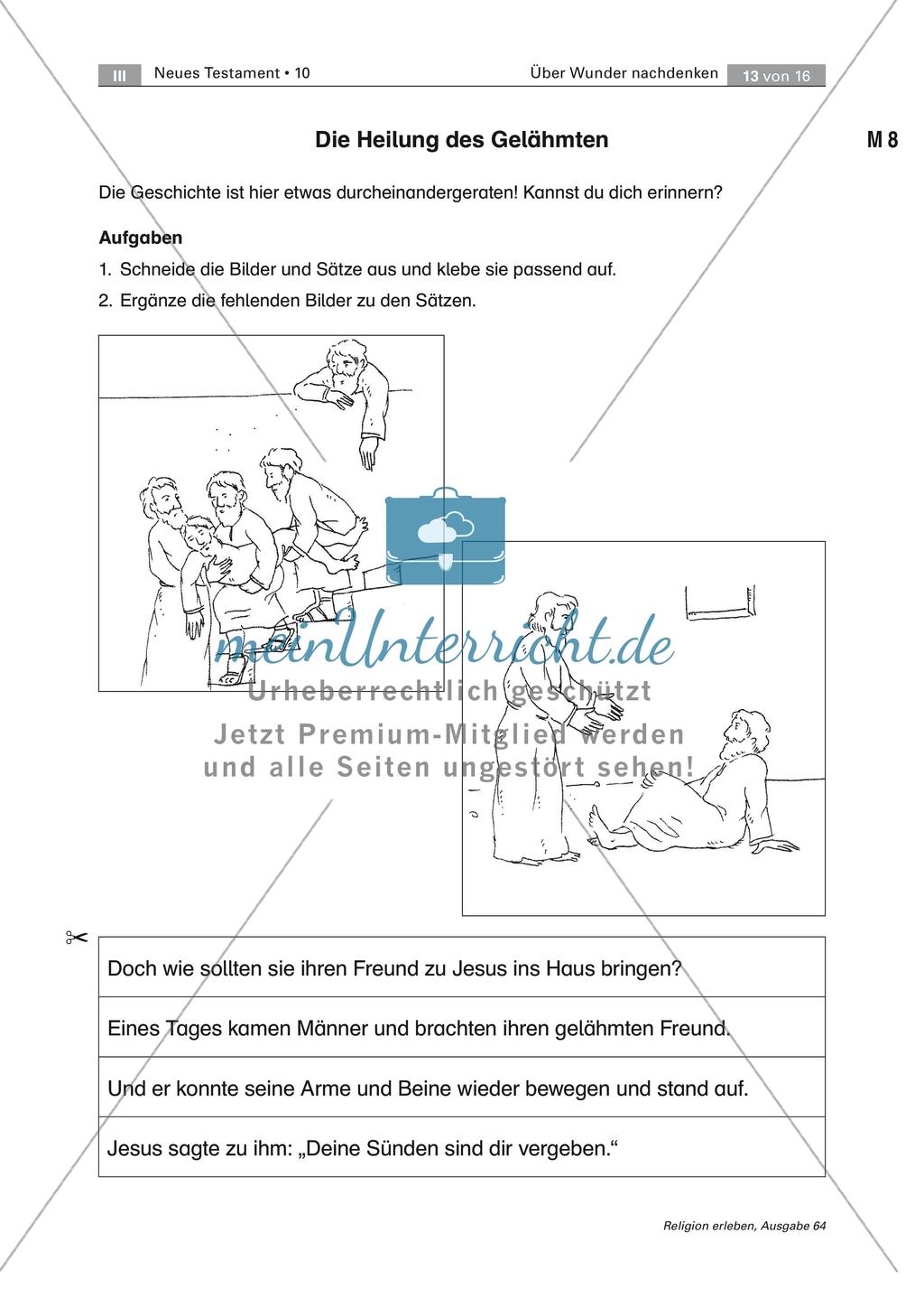 Wunder in Bibel und Alltag Preview 13