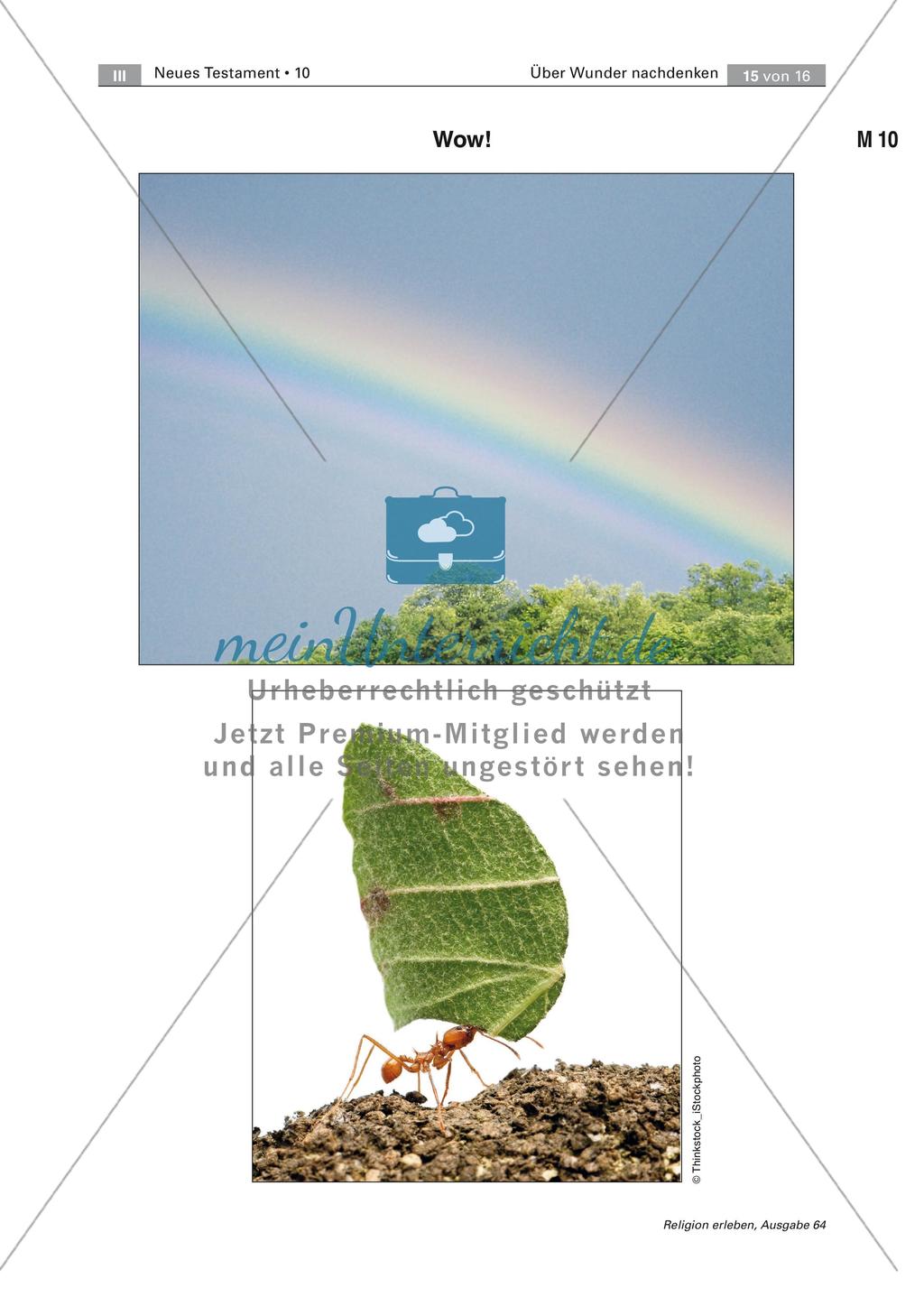 Wunder in Bibel und Alltag Preview 15