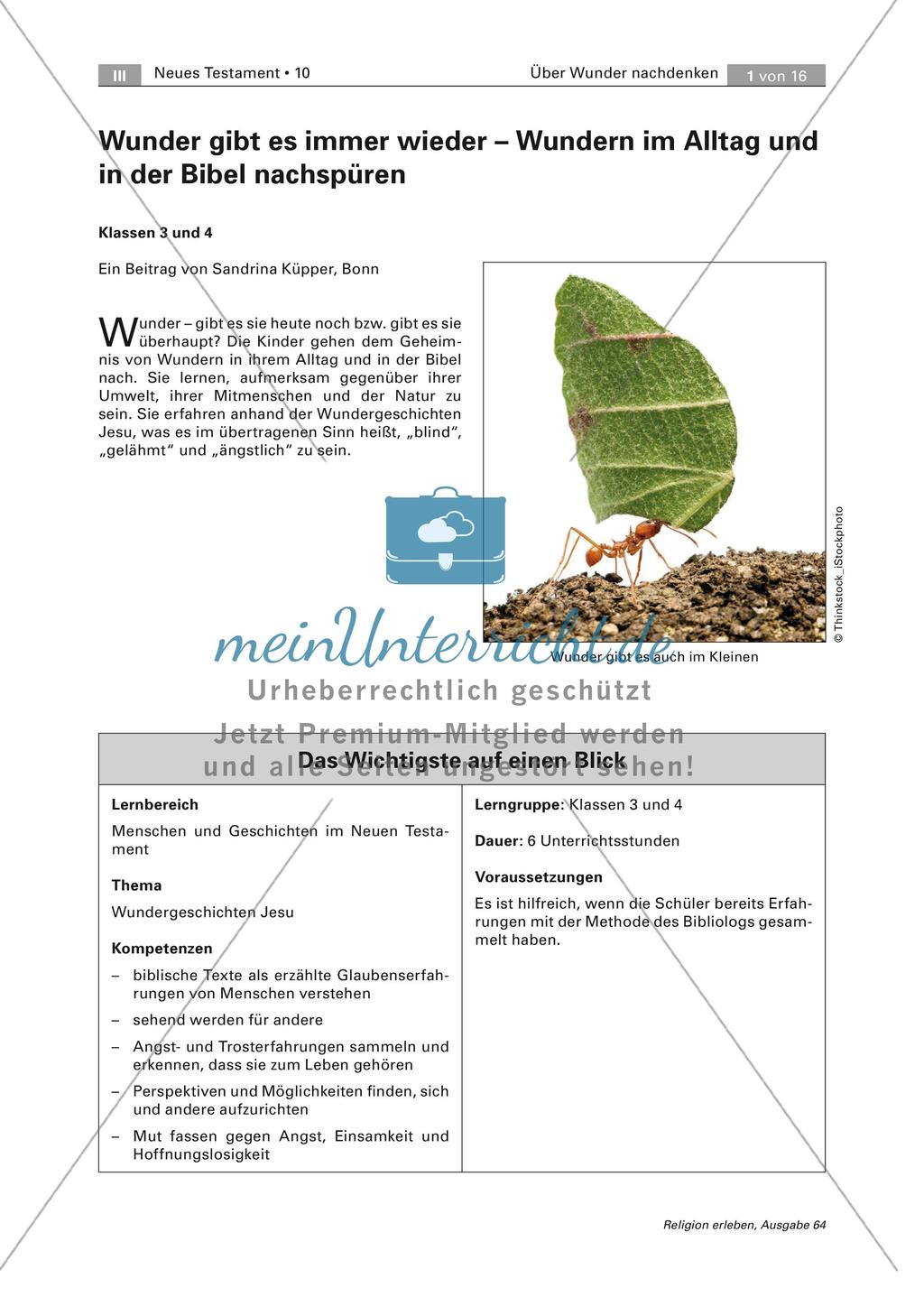 Wunder in Bibel und Alltag Preview 1