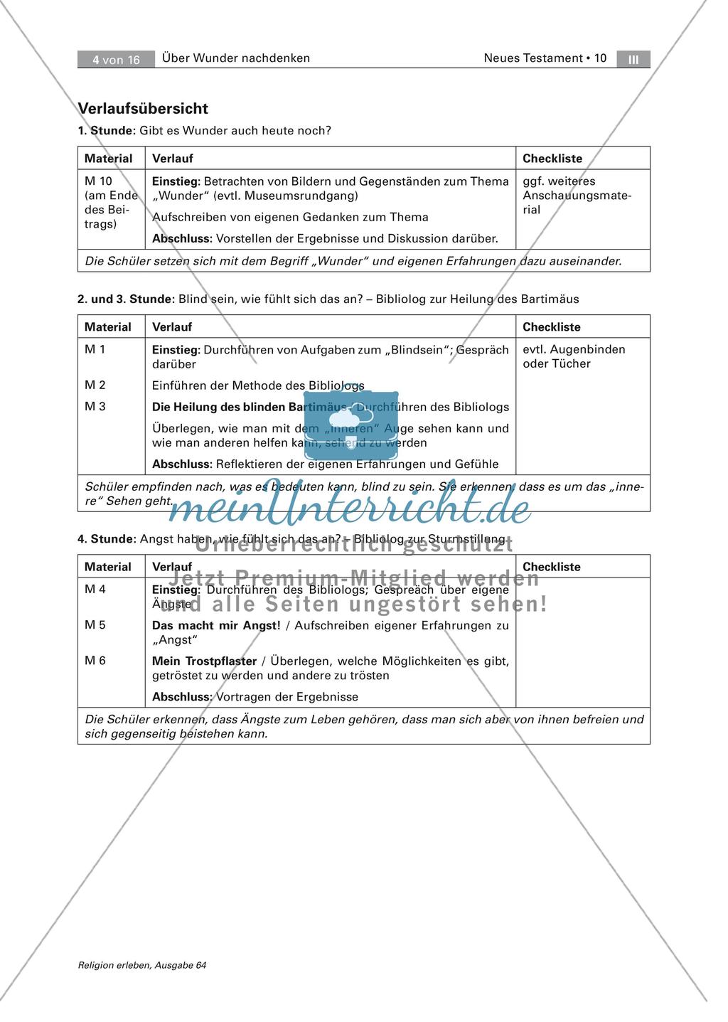 Wunder in Bibel und Alltag Preview 4