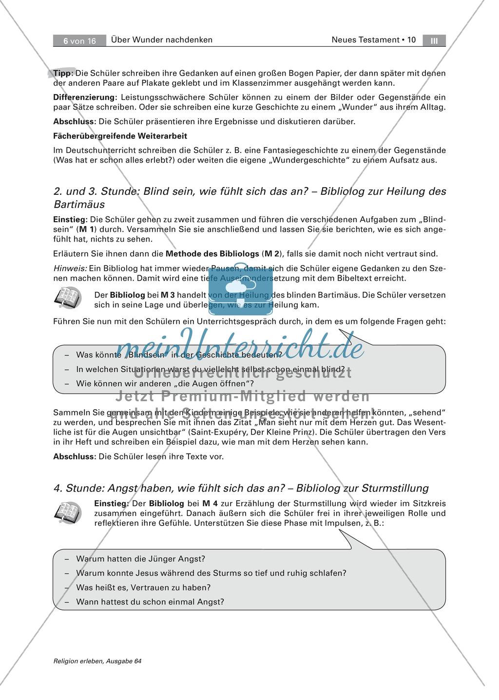 Wunder in Bibel und Alltag Preview 6