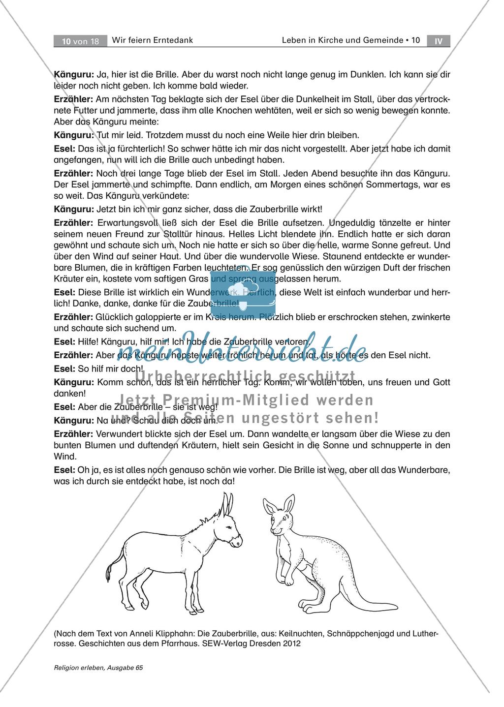 Tradition des Erntedankfests Preview 10