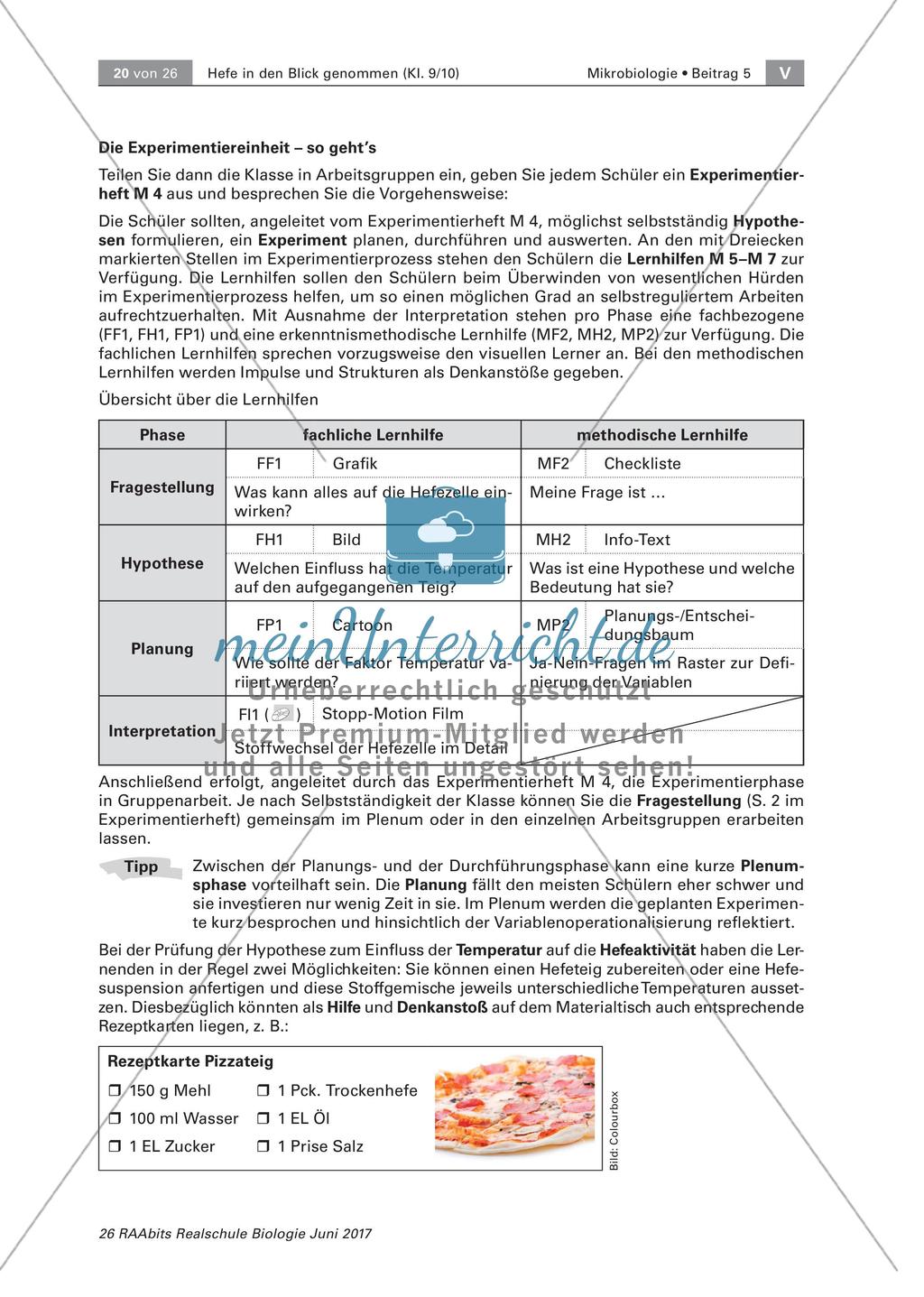 Experimente zu Hefe Preview 10