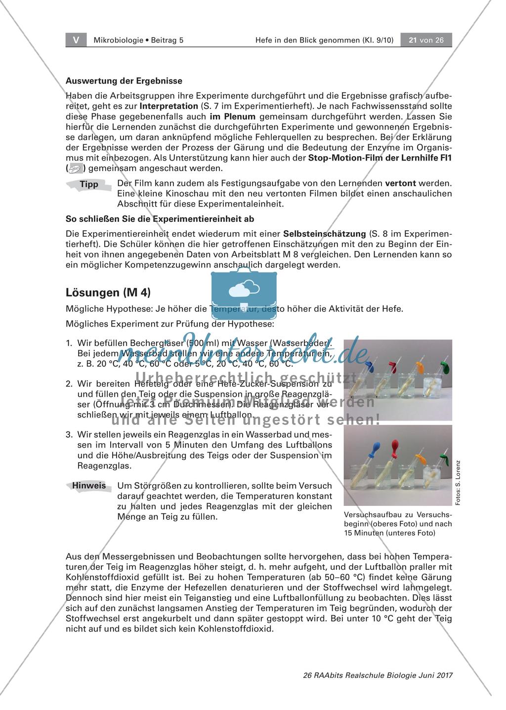 Experimente zu Hefe Preview 11