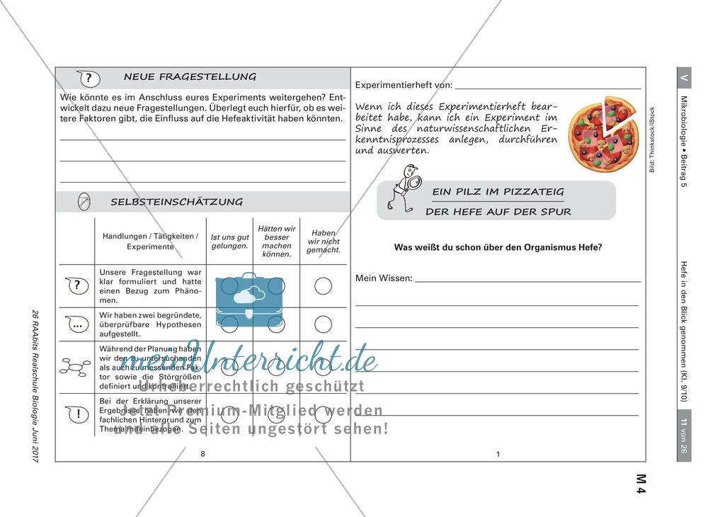 Experimente zu Hefe Preview 1